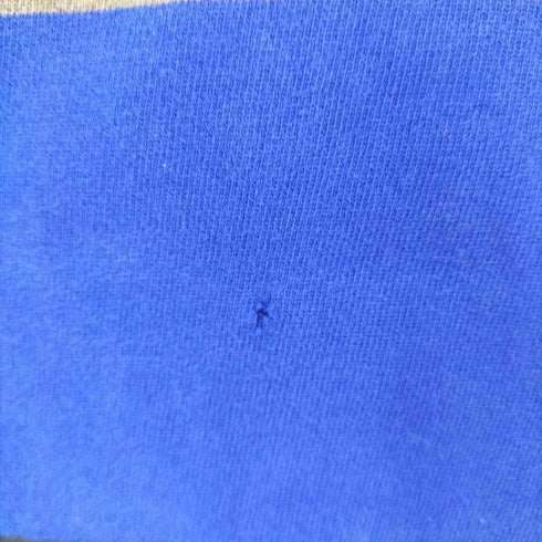 ポロバイラルフローレン Polo by RALPH LAUREN スモールポニー刺繍 ラガーシャツ メンズ JPN:XL