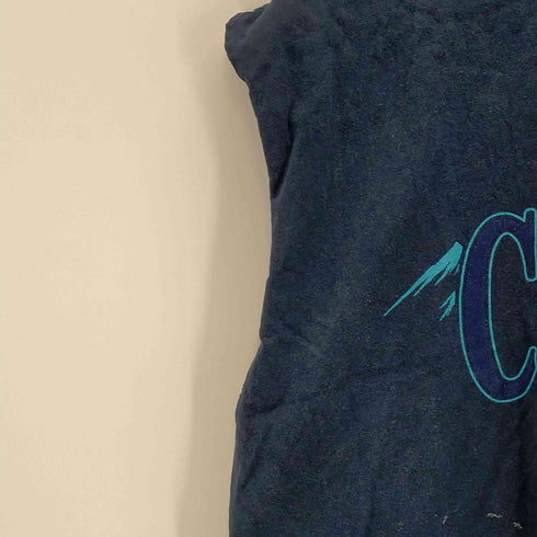 アローレ ALORE 90-00S USA製 COLORADO プリント リメイクTシャツ レディース import:L
