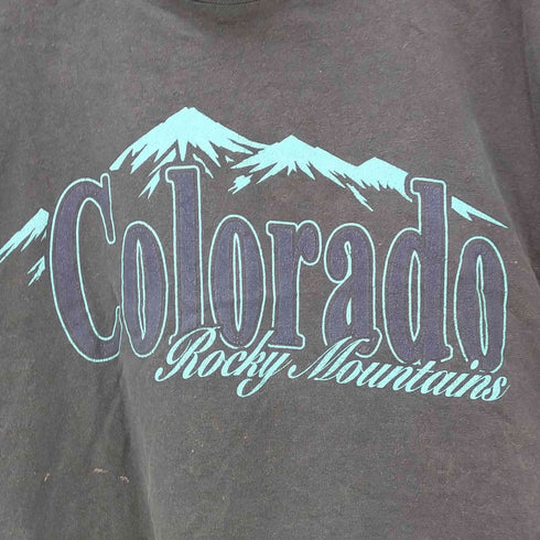 アローレ ALORE 90-00S USA製 COLORADO プリント リメイクTシャツ レディース import:L