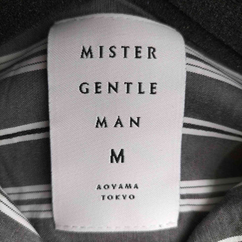 ミスタージェントルマン MR.GENTLEMAN ストライプ レーヨン 開襟L/Sシャツ メンズ JPN:M