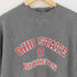 VARSITY ATHLETIC フットボールチーム 刺繍スウェット メンズ import:M