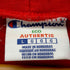 チャンピオン Champion all in x ChampionVプルオーバーパーカー メンズ import:L