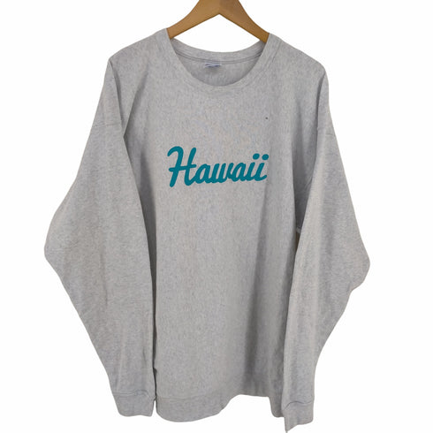 チャンピオン Champion 別注シティロングスリーブTシャツ HAWAII メンズ import:XL