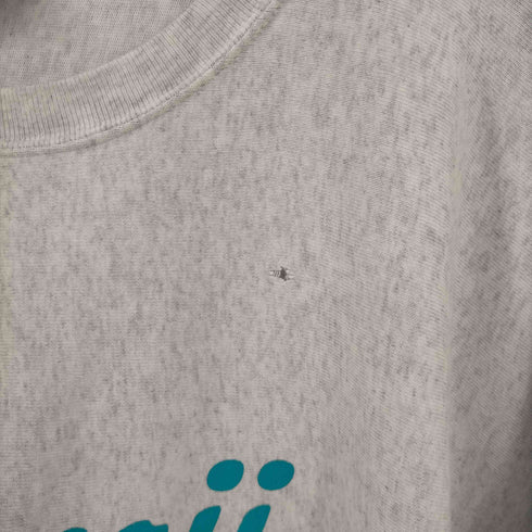 チャンピオン Champion 別注シティロングスリーブTシャツ HAWAII メンズ import:XL