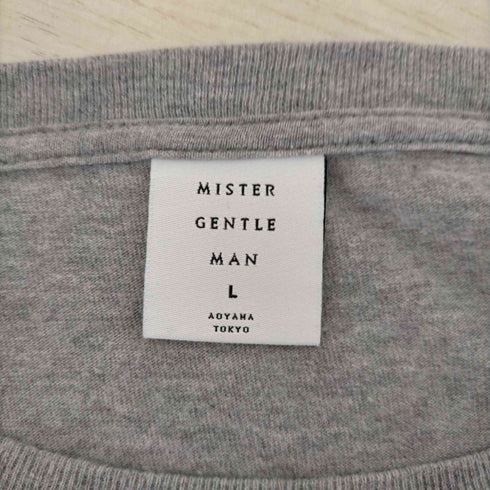 ミスタージェントルマン MR.GENTLEMAN CITYFADEプリントカットソー メンズ JPN:L