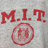 チャンピオン Champion 80S トリコタグ M.I.T. カレッジロゴ プルオーバーパーカー メンズ import:L