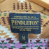 ペンドルトン PENDLETON レーヨン 総柄 半袖シャツ&ショートパンツ レディース 上下M