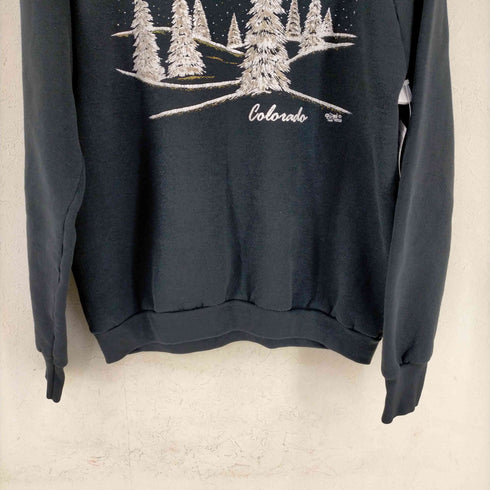 フルーツオブザルーム FRUIT OF THE LOOM USA製 COLORADO 雪原 発砲プリント ラグランスウェット メンズ import:L