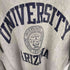 チャンピオン Champion 90s USA製 刺繍タグ ラバー3段 REVERSE WEAVE UNIVERSITY ARIZONA クルーネックスウェット メンズ import:L