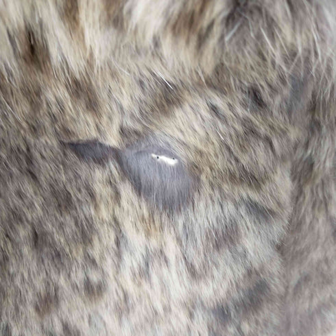 Moon Bat Fur レオパードキャット ファーコート レディース