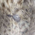 Moon Bat Fur レオパードキャット ファーコート レディース