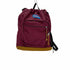 ジャンスポーツ JanSport 別注pack and go レディース