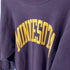 チャンピオン Champion 80S トリコタグ REVERSE WEAVE USA製 MINNESOTAプリント カレッジ スウェット メンズ import:L