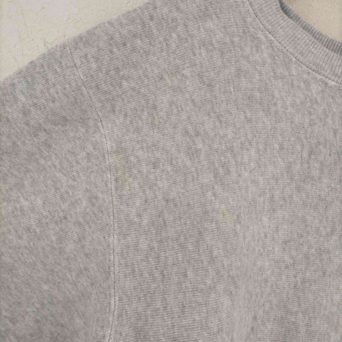 チャンピオン Champion 青タグ復刻 REVERSE WAEVE 無地スウェット メンズ import:XL