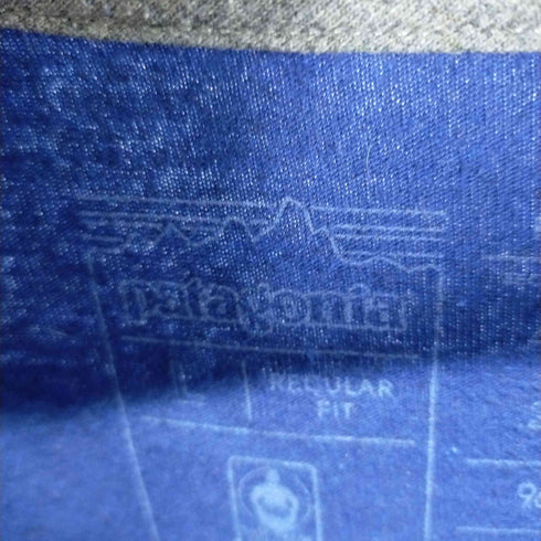 パタゴニア patagonia 20年製 BLAZE TRAILS RUN WILD プリントTEE メンズ import:L
