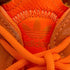 アディダスオリジナルス adidas Originals OZWEEGO メンズ JPN:27.5