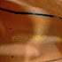 ニューバランス NEW BALANCE ML801NEB メンズ JPN:27.5