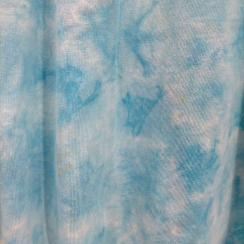 フルギ AIPA USA製 タイダイ染 ロゴプリントクルーネック Tシャツ メンズ import:L