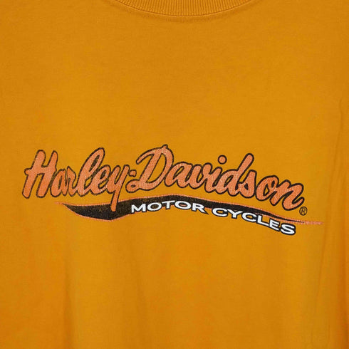 ハーレーダヴィットソン HARLEY DAVIDSON 90-2000S S/S TEE メンズ JPN:XL