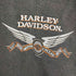 ハーレーダヴィットソン HARLEY DAVIDSON 両面プリント ヘンリーネック スウェット メンズ