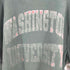 チャンピオン Champion 90s 刺繍タグ メキシコ製 WASHINGTON アーチプリント REVERSE WEAVE メンズ JPN:L
