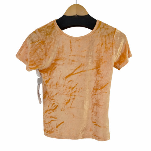 レイビームス Ray BEAMS ストレッチ ベロア Tシャツ レディース FREE