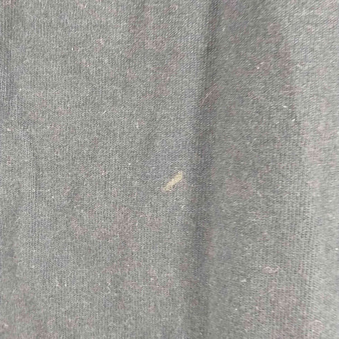 チャンピオン Champion カレッジロゴ ラグランスリーブTシャツ メンズ JPN:M