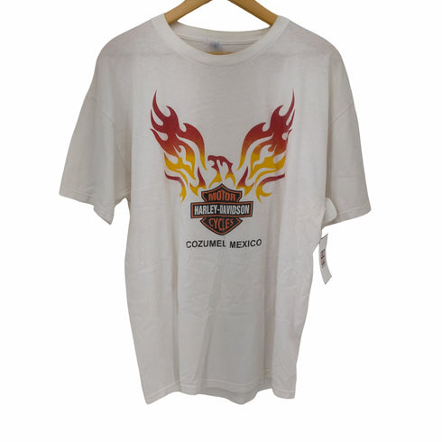 ハーレーダビッドソン HARLEY-DAVIDSON M&Oボディ ファイヤーパターンフロントプリントTシャツ メンズ