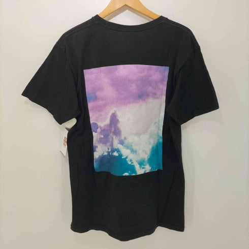 ステューシー Stussy MADE IN MEXICO ワールドTシャツ メンズ import:M