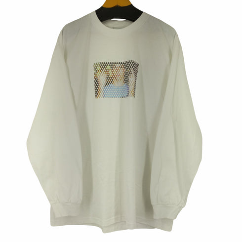 グローブランド GROVELAND フロントプリント L/S Tシャツ メンズ import:XL