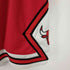 ミッチェルアンドネス mitchell&ness チームロゴワッペン ゲームパンツ Swingman shorts メンズ 48(XL)