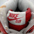 ナイキスケートボーディング NIKE SB DUNK HI PREMIUM SB メンズ JPN:27