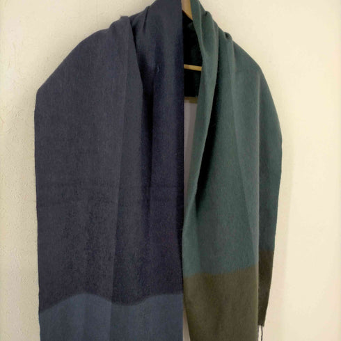 ベグアンドコー BEGG&CO Arran Taylor 73×183 マルチカラー カシミアストール レディース