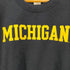 ギルダン GILDAN MICHIGAN カレッジプリント クルーネックスウェット メンズ import:L
