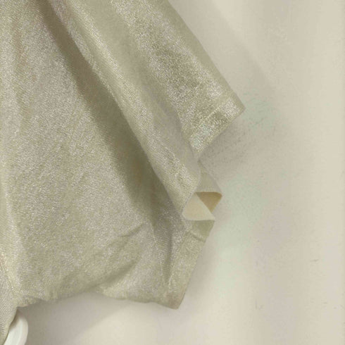 ザラ ZARA メタリックメッシュTシャツ メンズ JPN:M