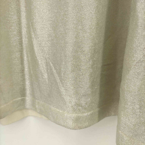 ザラ ZARA メタリックメッシュTシャツ メンズ JPN:M