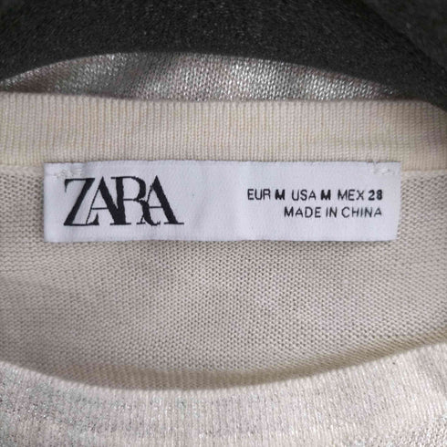 ザラ ZARA メタリックメッシュTシャツ メンズ JPN:M