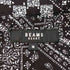 ビームスハート BEAMS HEART オープンカラーペイズリーシャツ メンズ JPN:M