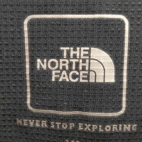 ザノースフェイス THE NORTH FACE SUMMIT サミット 長袖Tシャツ メンズ import:XL