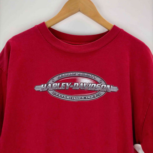 ハーレーダヴィットソン HARLEY DAVIDSON 90s USA製 RIO GRANDE VALLEY Tシャツ メンズ JPN:XL