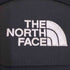 ザノースフェイス THE NORTH FACE BIG SHOT 33L ビッグショット 33L バックパック メンズ