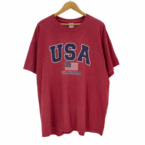 ギルダン GILDAN USA FLORIDAプリントTシャツ メンズ JPN:XL