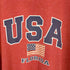 ギルダン GILDAN USA FLORIDAプリントTシャツ メンズ JPN:XL