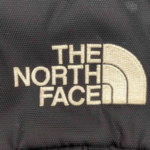 ザノースフェイス THE NORTH FACE テルス 25 Tellus 25 バックパック メンズ