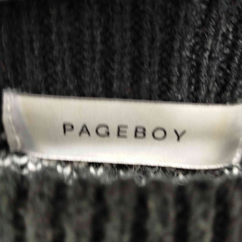 ページボーイ PAGEBOY ゼブラ柄 クロップドニット レディース FREE