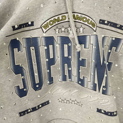 シュプリーム Supreme 21AW Rhinestone Hooded Sweatshirt ラインストーンパーカー メンズ JPN:XL
