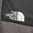 ザノースフェイス THE NORTH FACE 90s ARMADILLA ハーフジップ フリースプルオーバー メンズ import:XL