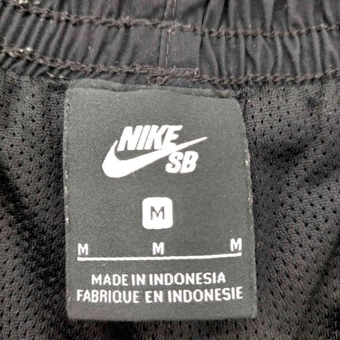 ナイキスケートボーディング NIKE SB FLEX TRACK PANT メンズ import:M