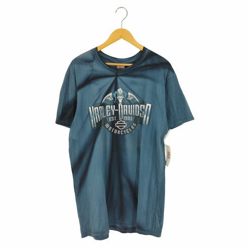 ハーレーダヴィットソン HARLEY DAVIDSON メキシコ製 タイダイ柄 フロントプリント クルーネックTシャツ メンズ import:L