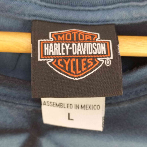 ハーレーダヴィットソン HARLEY DAVIDSON メキシコ製 タイダイ柄 フロントプリント クルーネックTシャツ メンズ import:L